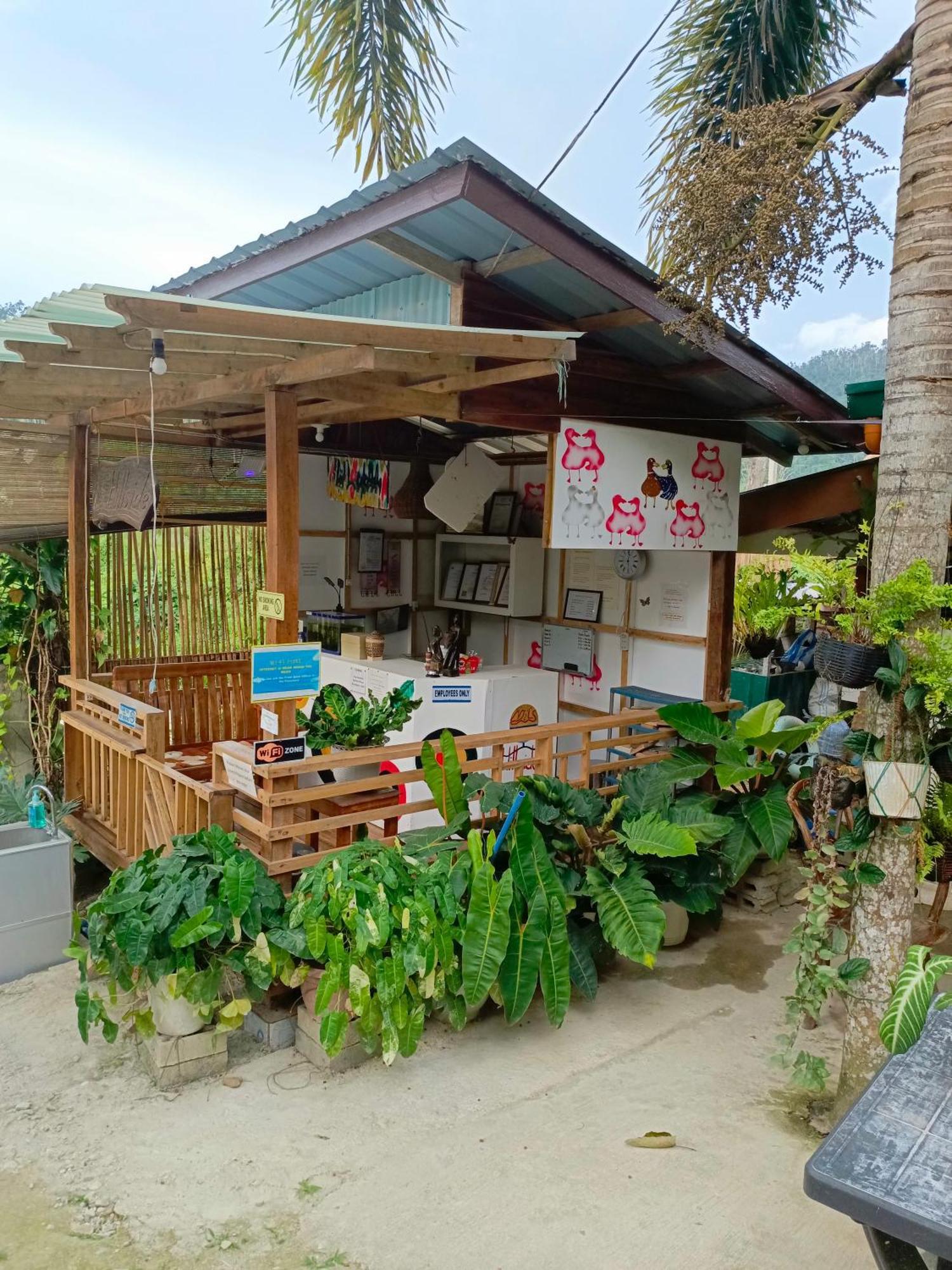Mil'S Hillside Tourist Inn San Vicente  Luaran gambar