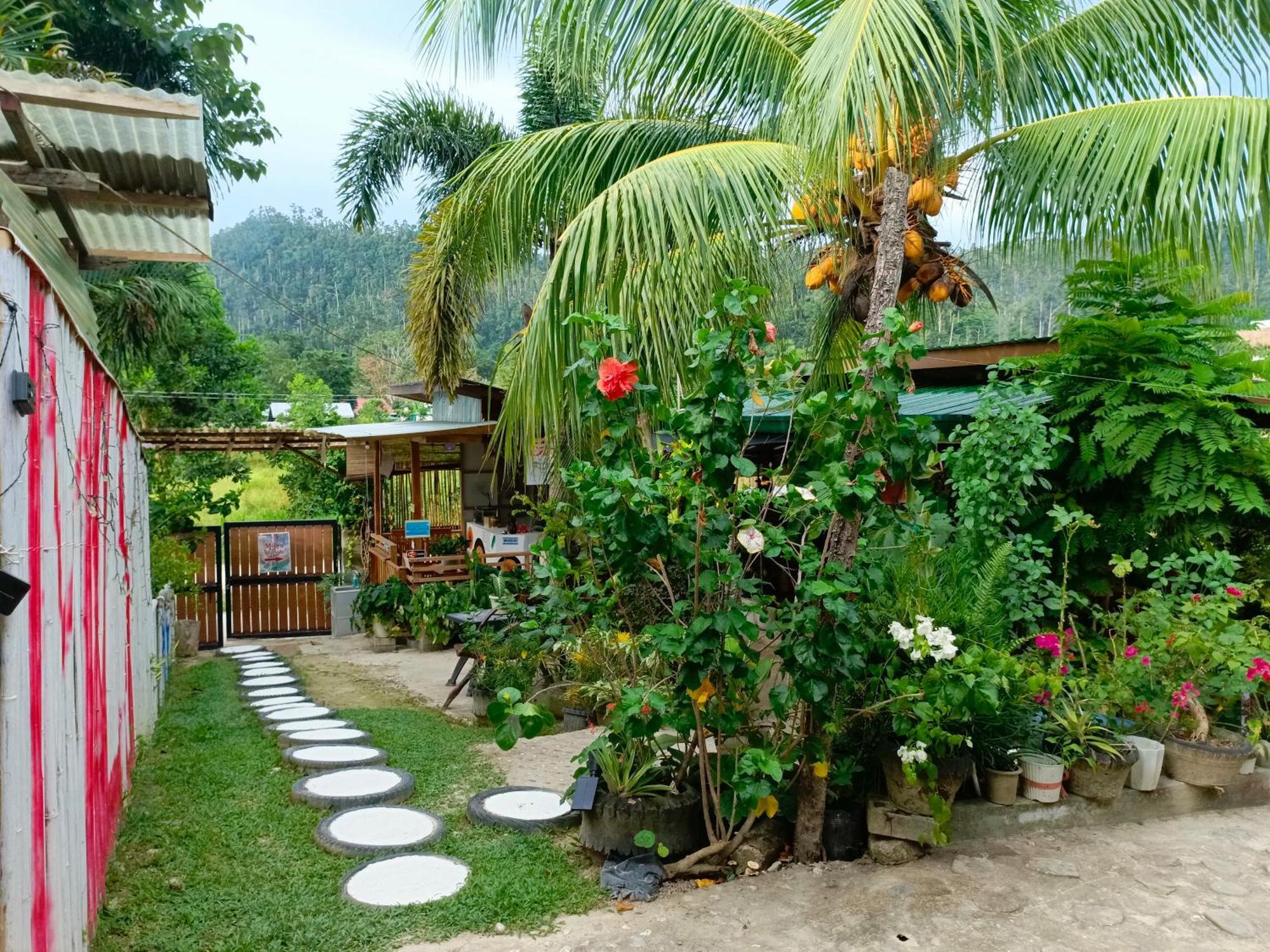 Mil'S Hillside Tourist Inn San Vicente  Luaran gambar